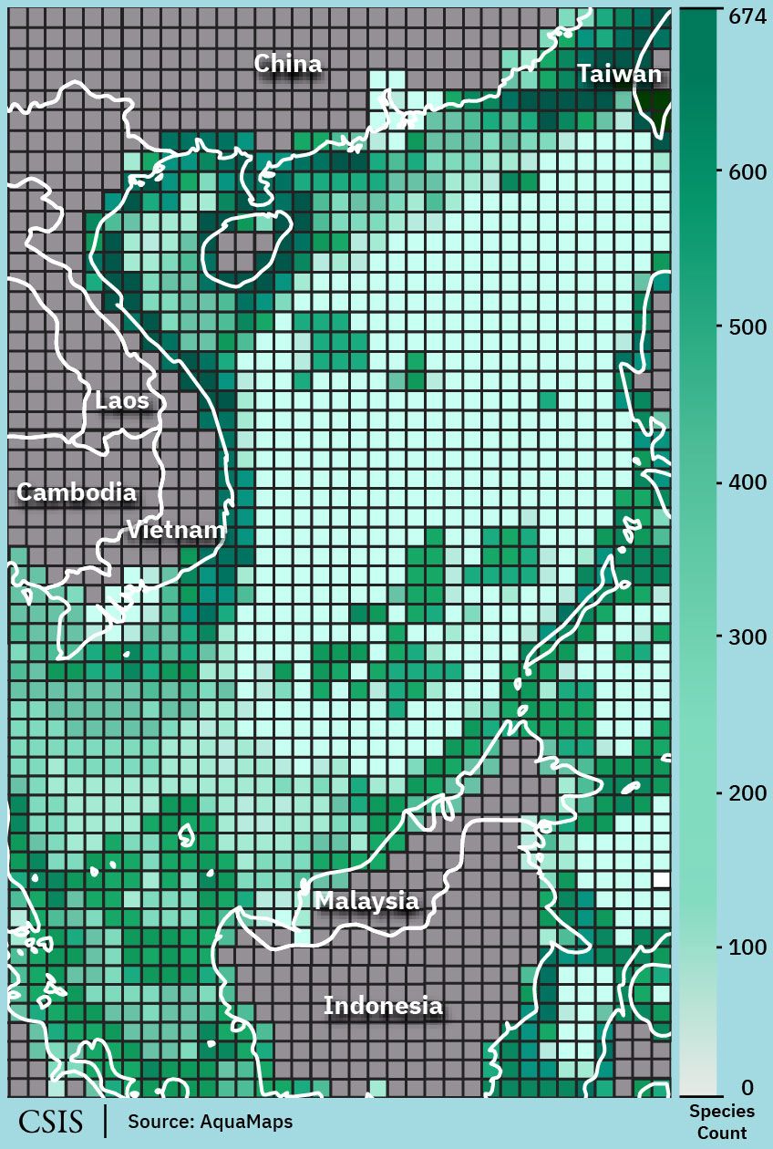 This map of the biodiversity of bivalves shows the density of species scattered throughout the South China Sea.