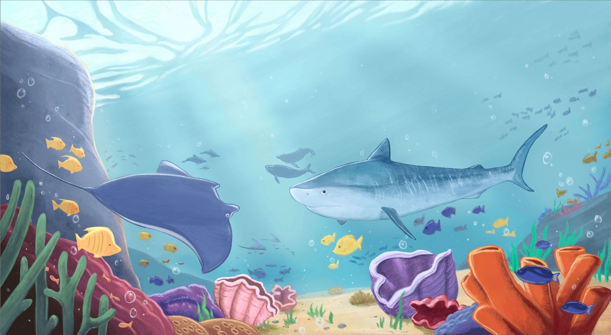 Manta rays, whales, dolphins, and shark swim in the sea.