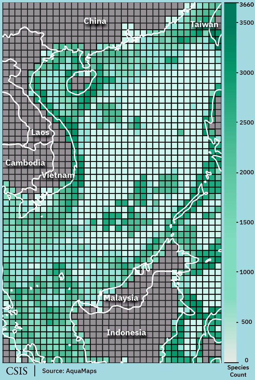 This map of the biodiversity of fish shows the density of species scattered throughout the South China Sea.