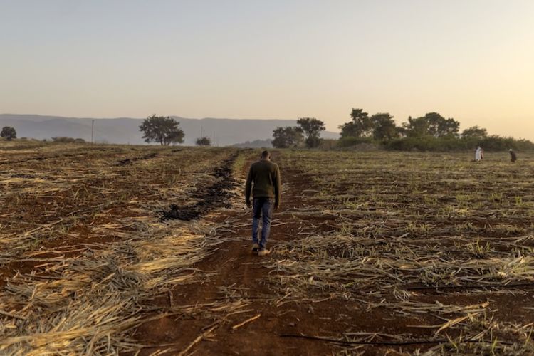 A man walks in a barren field.