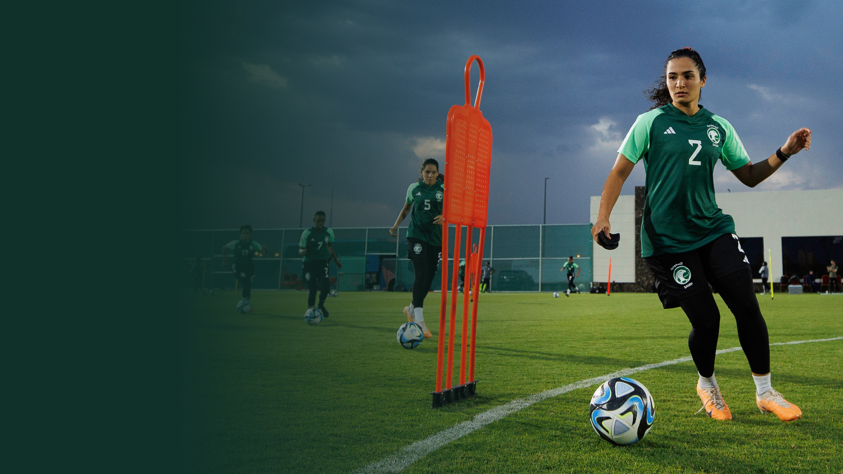 A blurry photo of the ocean and trees | Photo by Brian McMahon` on Unsplash