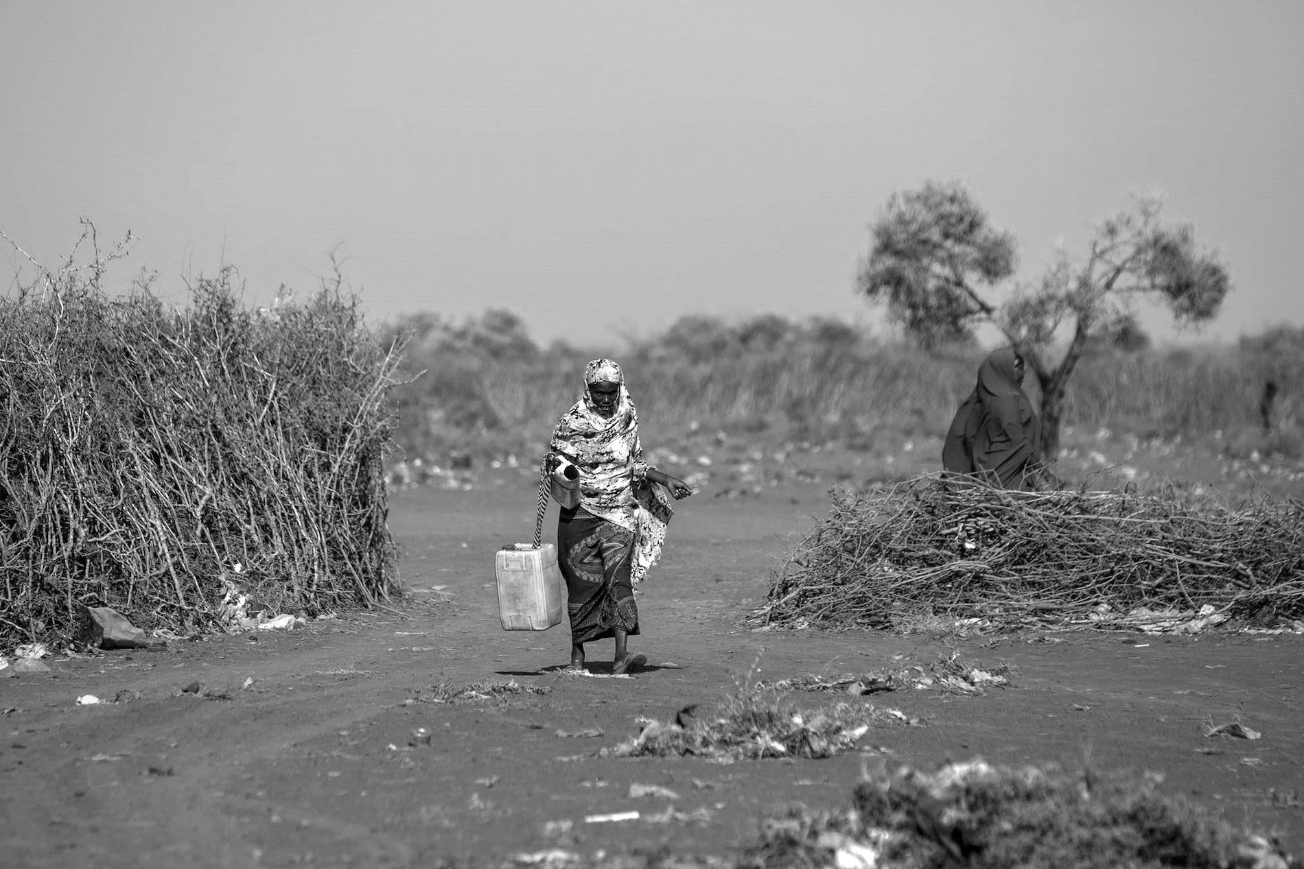 A woman carries a bucket of water in a dry environment.