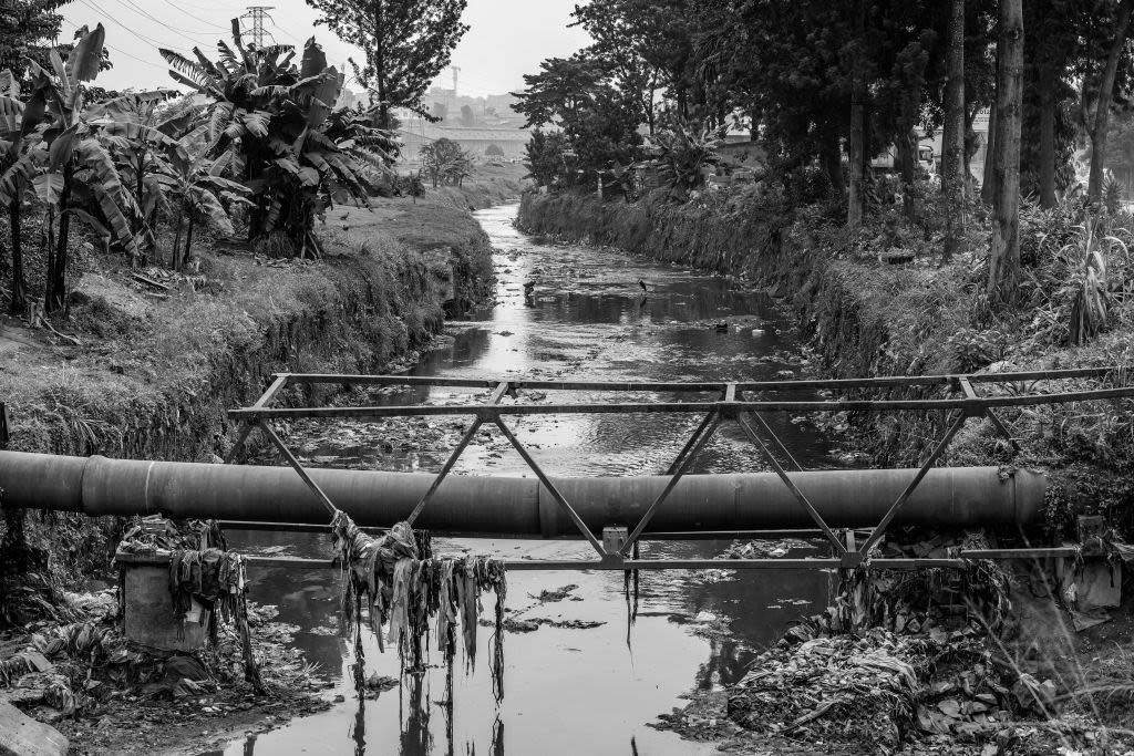 A polluted river surrounded by trees.