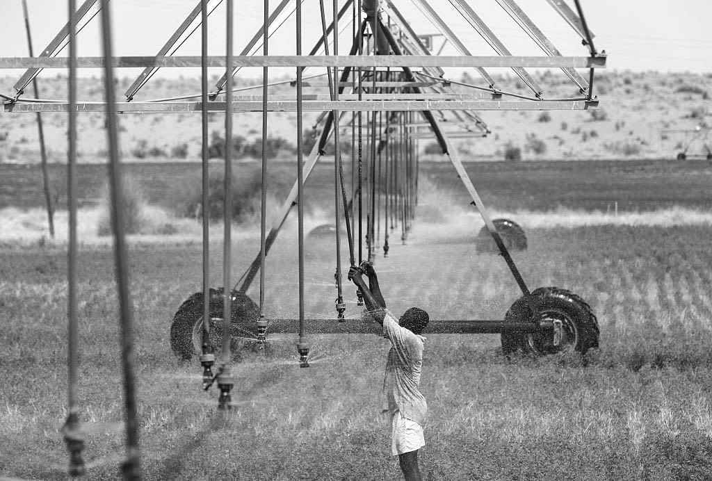 A man checks sprinklers in an agricultural field.