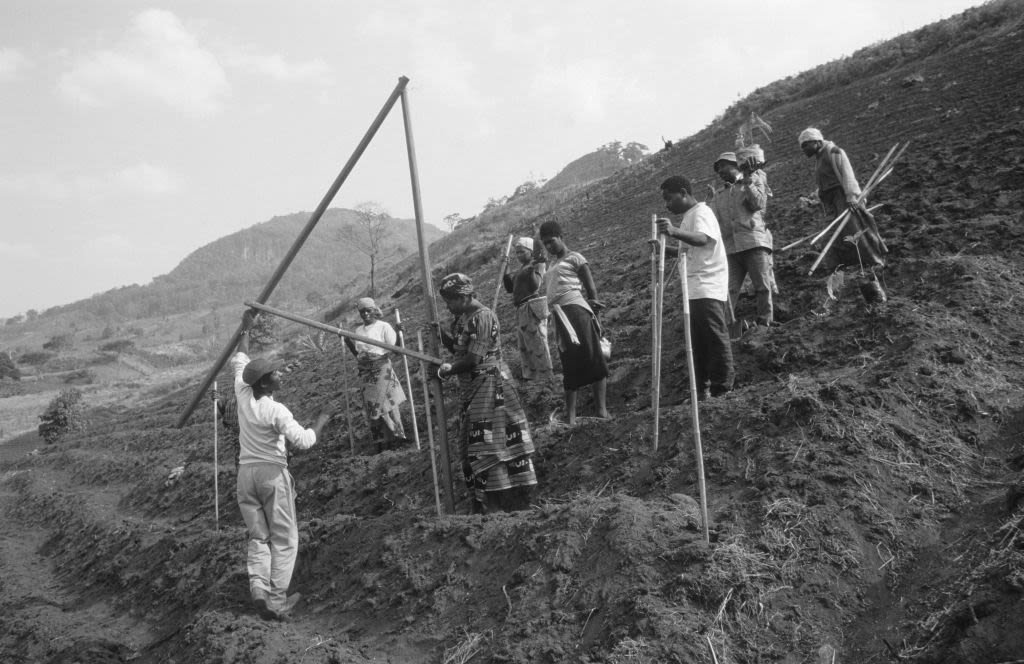 People on a hill holding tools for digging.