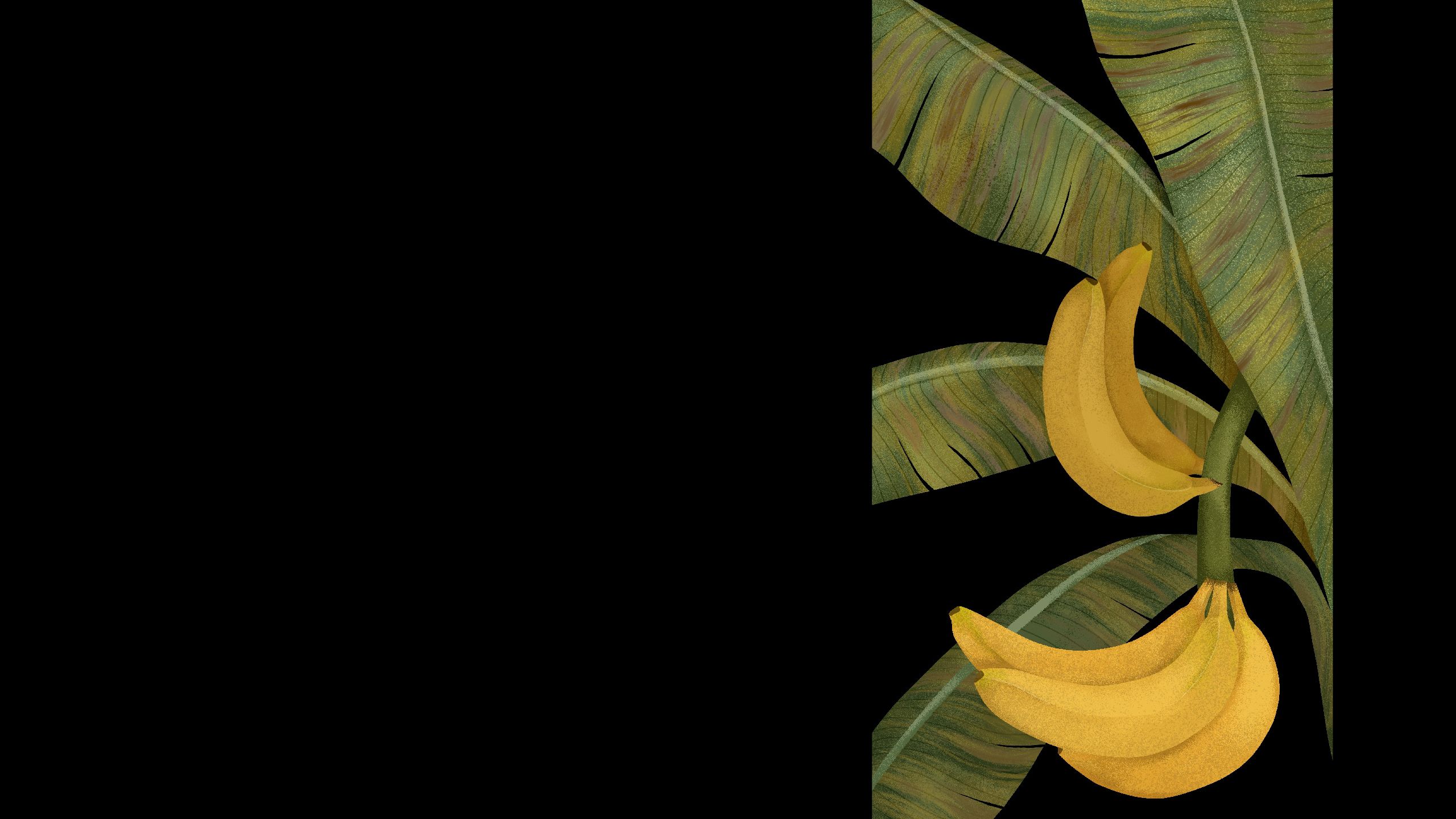 Illustration of banana plant mildly affected by panana disease