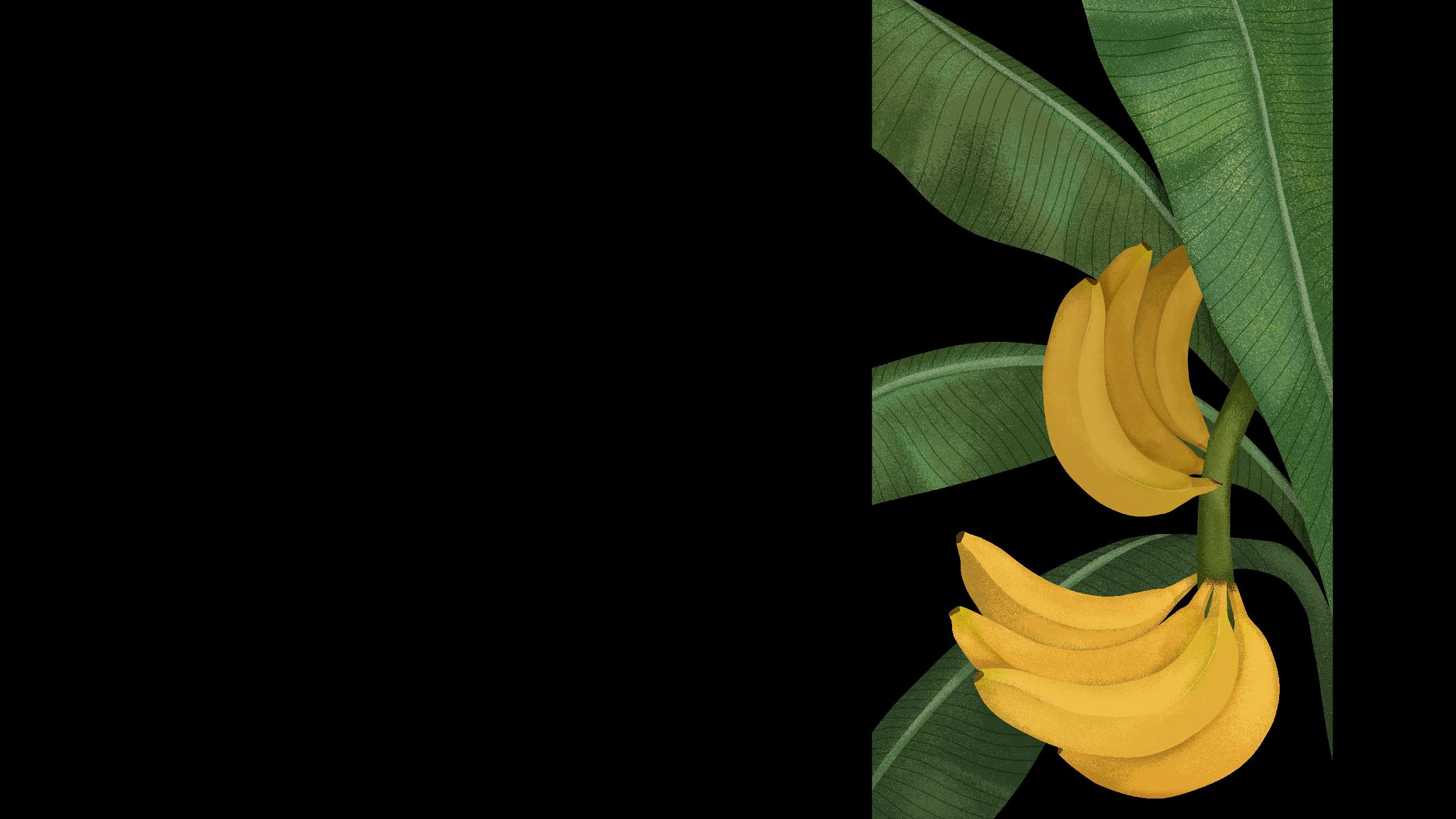 Illustration of healthy banana plant