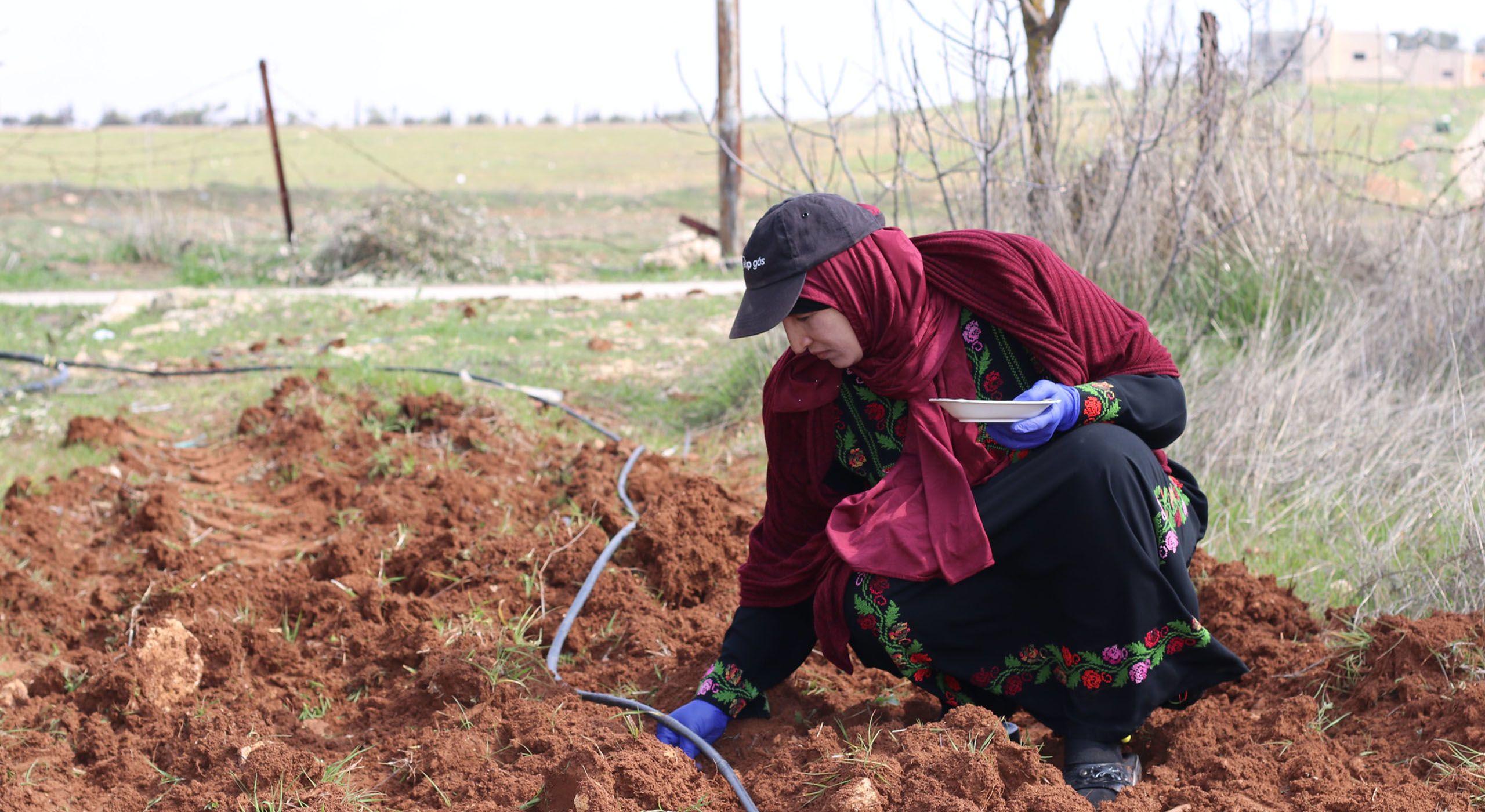 jordanian-peanut-farmer-2560x1400.jpg