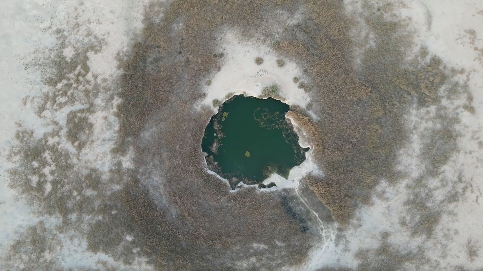 Surviving Scarcity: Water and the Future of the Middle East