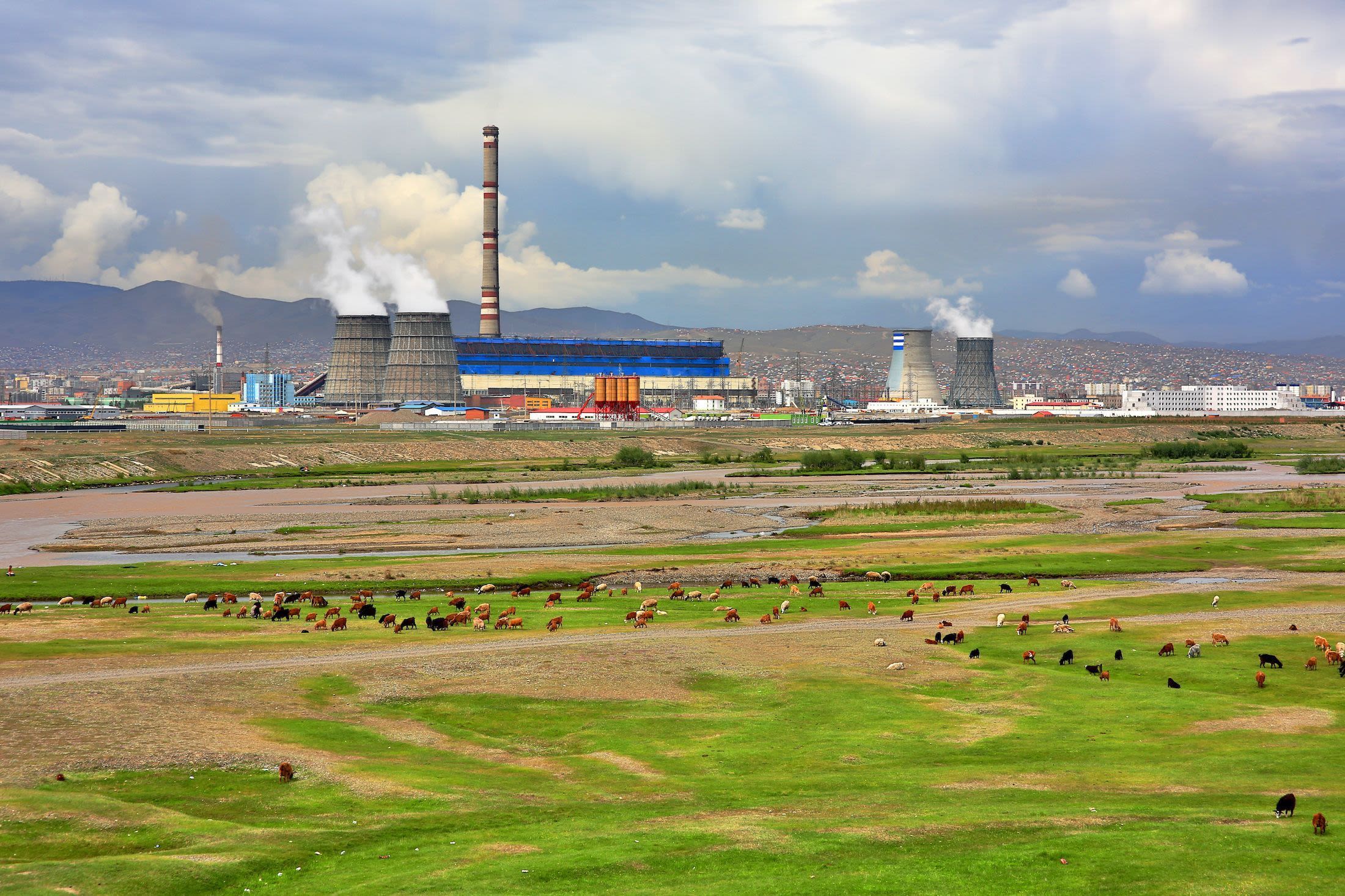 Animals grazing next to a power plant.